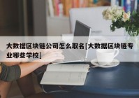 大数据区块链公司怎么取名[大数据区块链专业哪些学校]